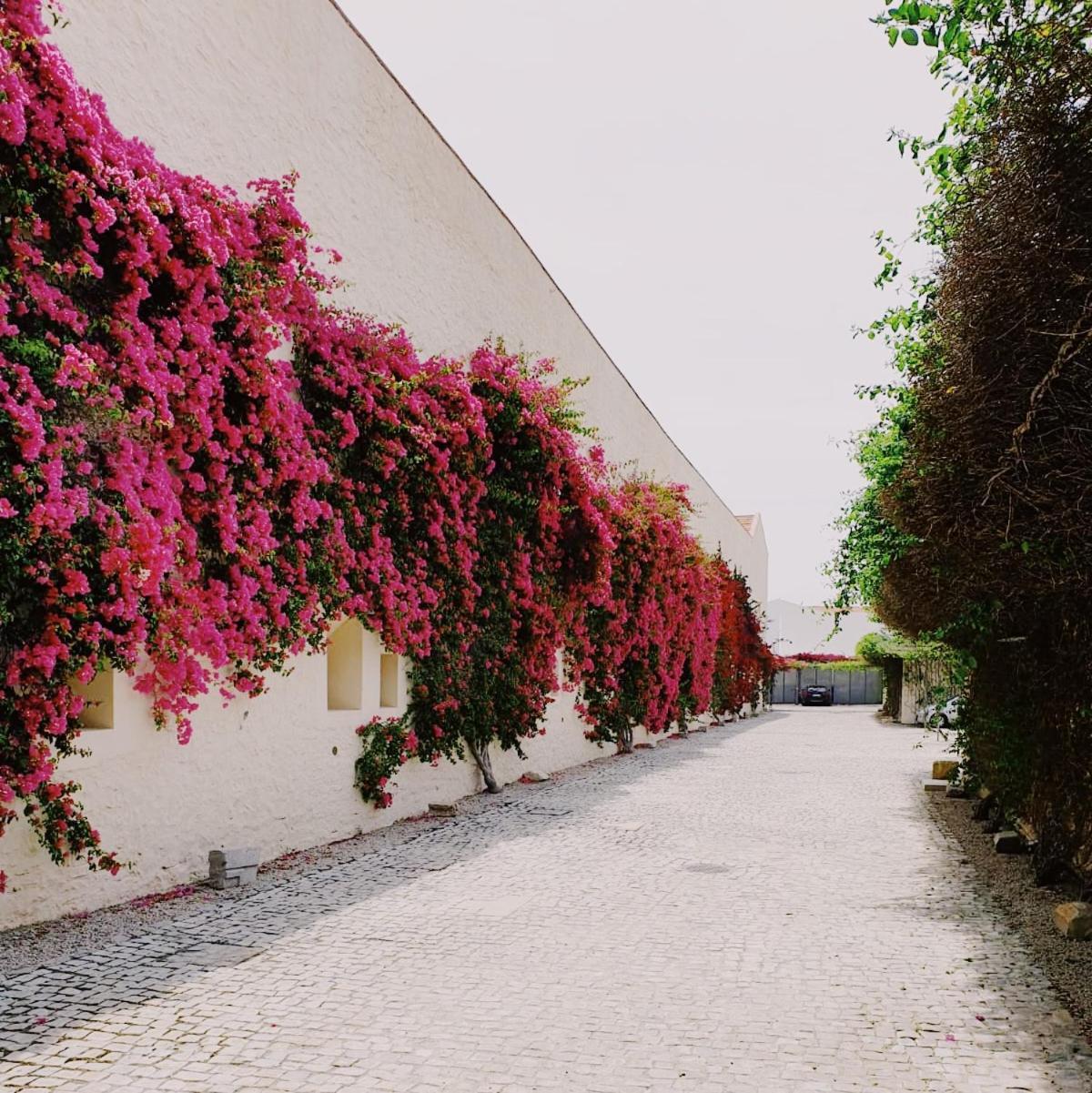 Apartamento Convento Das Bernadas Tavira Eksteriør billede